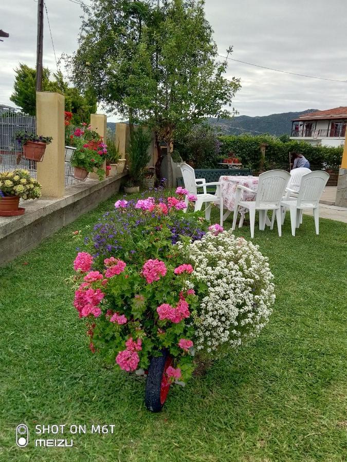 House Kallisti 2 Appartement *
